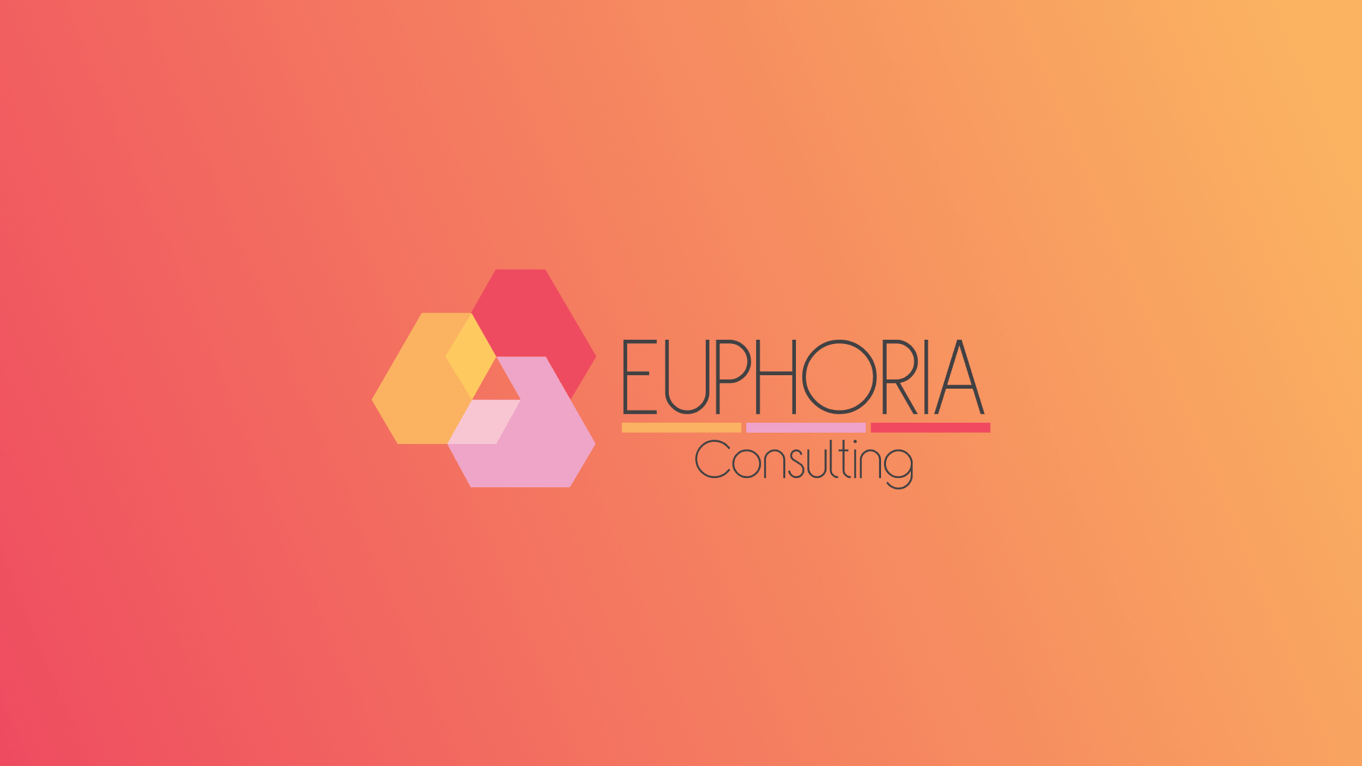 Euphoria Consulting preview